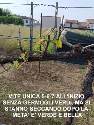 5_181536.jpg