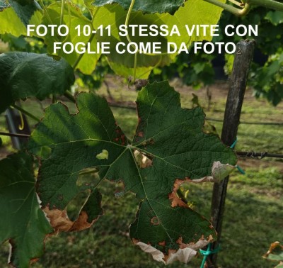 10_182149.jpg