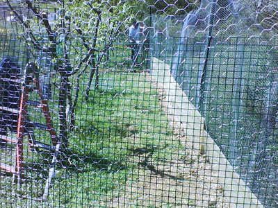 DSC00157.JPG