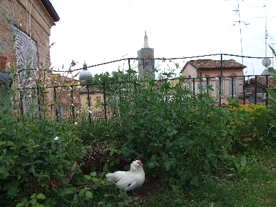 DSCF3493.jpg