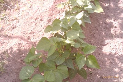 IMAG0761.jpg