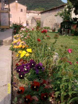 giardino1.JPG