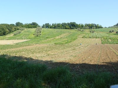 P1050422.JPG