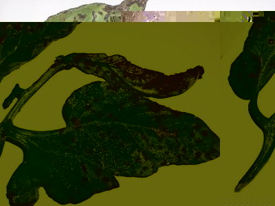 DSCN1936.JPG