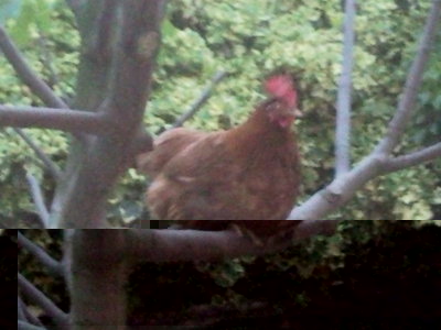 Foto21.jpg