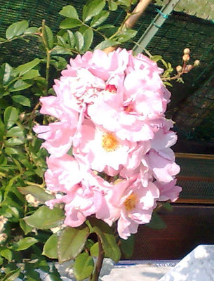 claire matin1.jpg