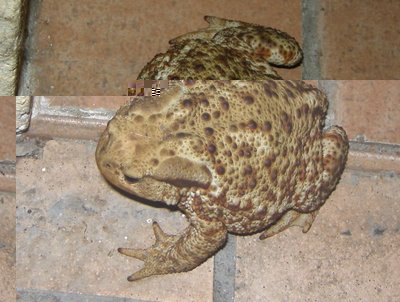 DSCN9937.JPG