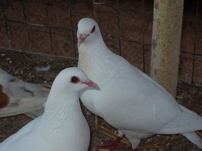 P1010057.JPG