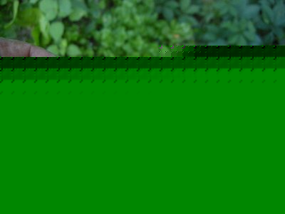 DSCN8302.JPG