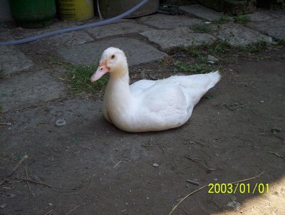 100_0313.JPG