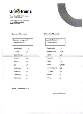MostoBianco.jpg