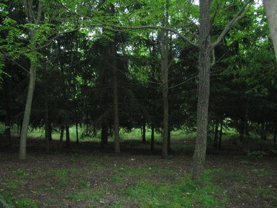IMG_1205.JPG