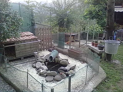 ambiente germani-anatre 1.jpg