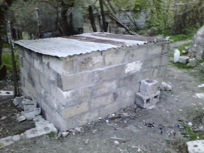 P251011_18.04.jpg