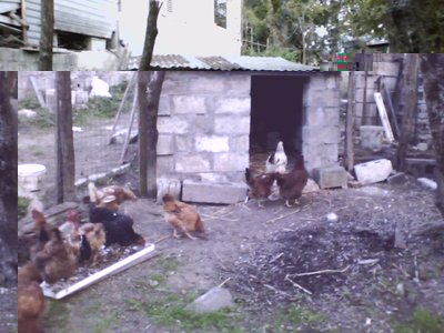 P251011_18.03_[04].jpg