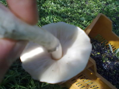 29102011131.jpg