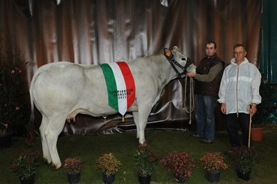 campionessa vacche1.jpg
