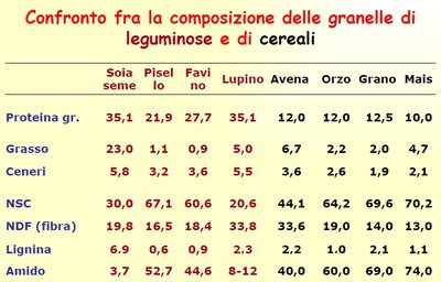 leguminose-cereali.jpg
