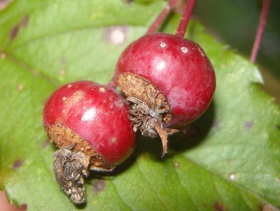DSCN9199.JPG