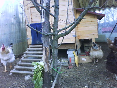 DSC00427.JPG