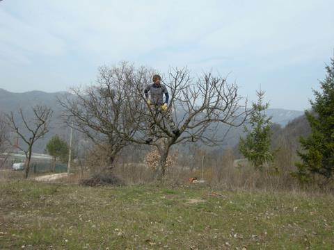 DSCN8540.JPG