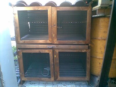 27012012(005).jpg