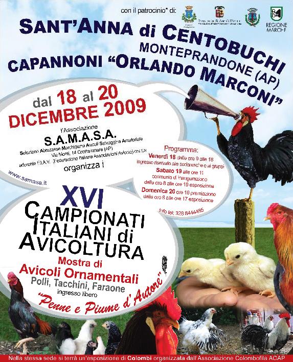 XVI Campionati avicoltura.JPG