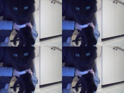 Snapshot_20120120_8.JPG