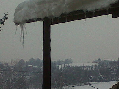 IMG00036-20120204-0912.jpg