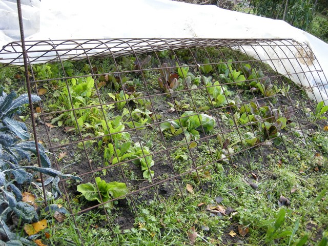 DSCN6209.JPG