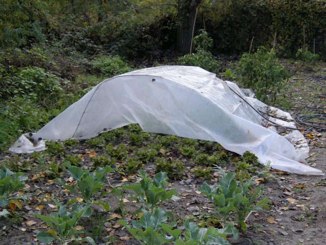 DSCN6213.JPG