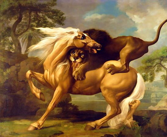 George Stubbs _ A Lion Attacking a Horse, c.1762.jpg