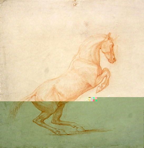 George Stubbs _ A Prancing Horse, facing right, 1790.jpg