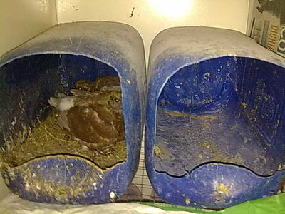 12032012046.jpg