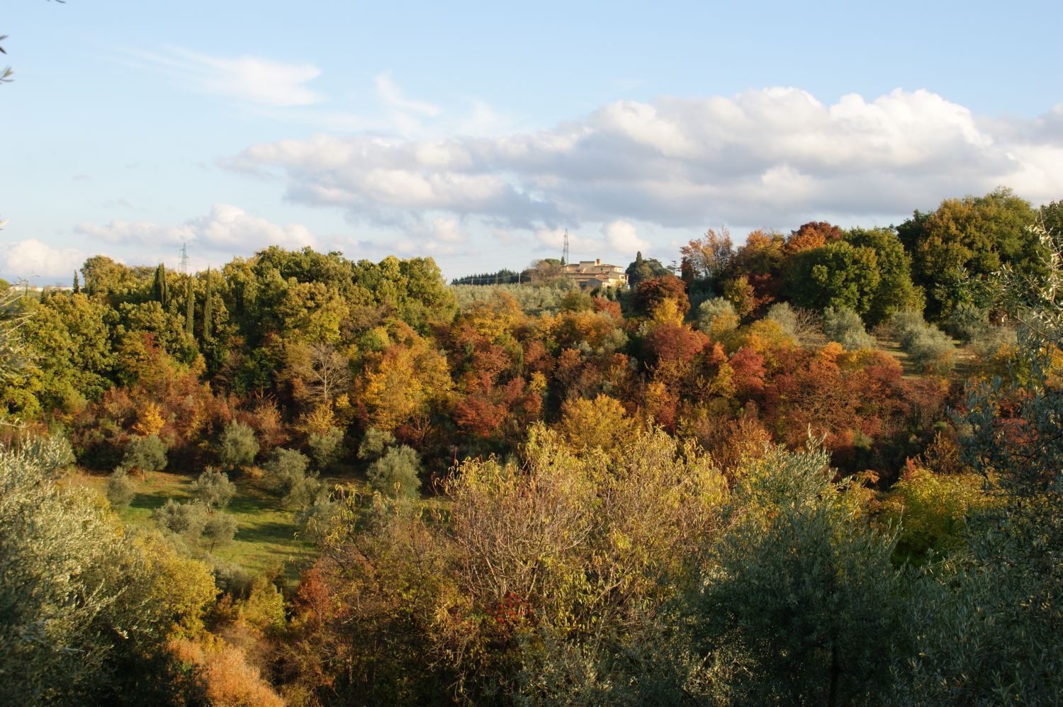 Autunno.jpg