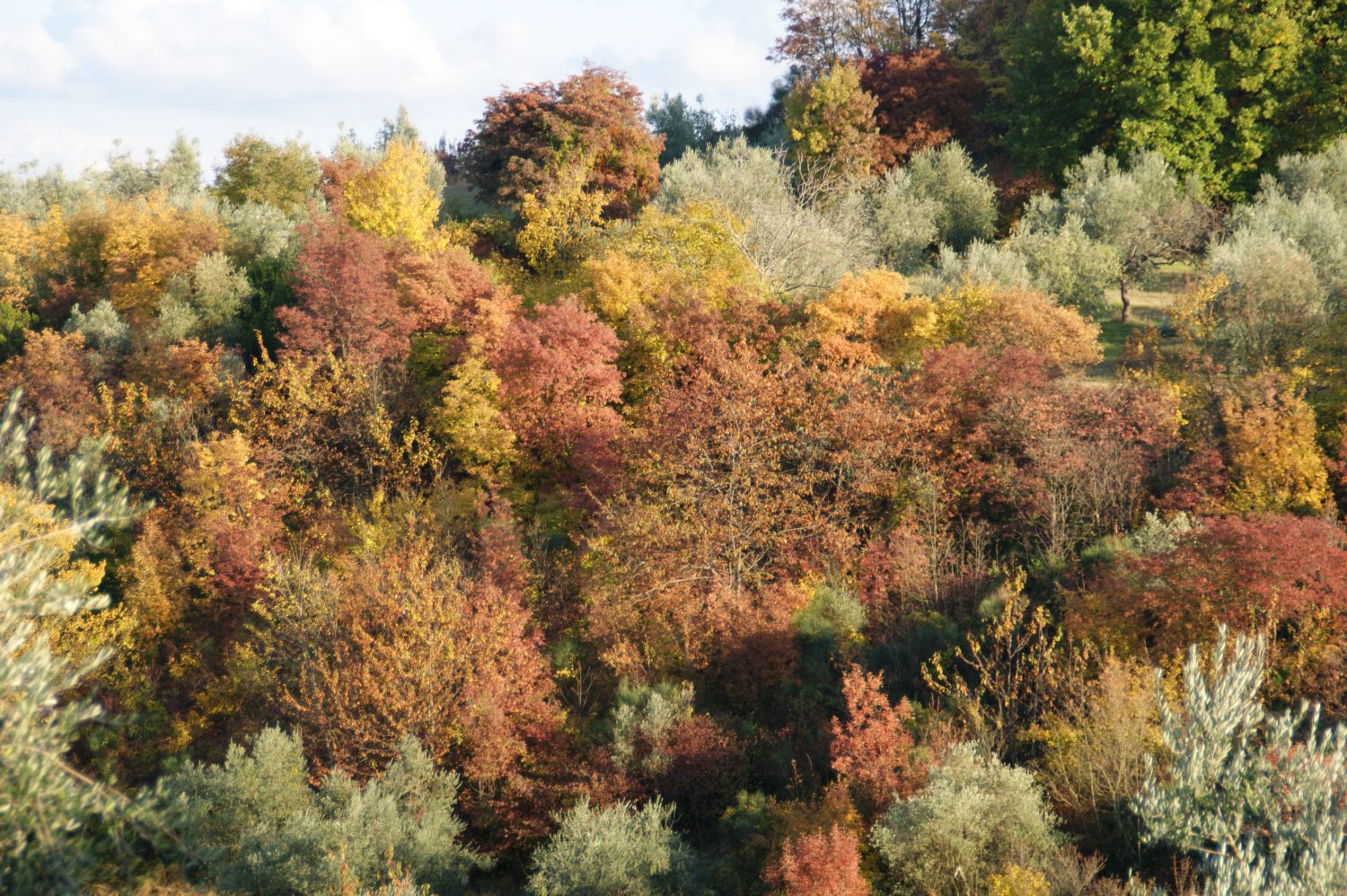 Autunno1.jpg
