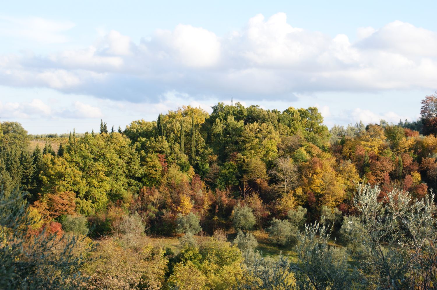 Autunno2.jpg
