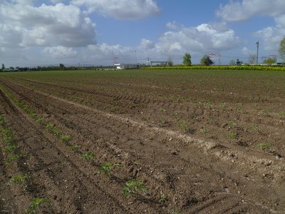 P1040020a.jpg