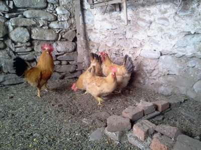 rps20120423_092657.jpg