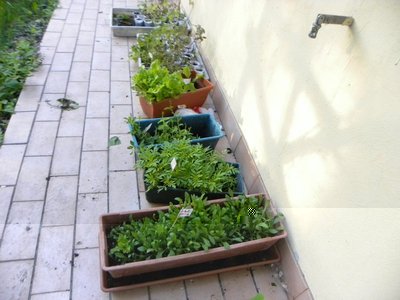 DSCN2084.JPG