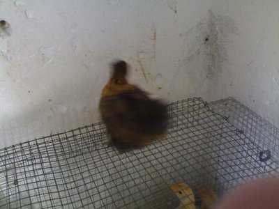 260420121118.jpg