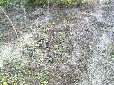 02052012281.jpg