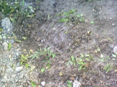02052012282.jpg