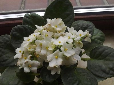09052012082.jpg