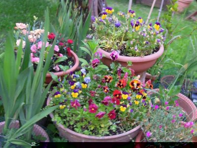 3DSCN9978.JPG
