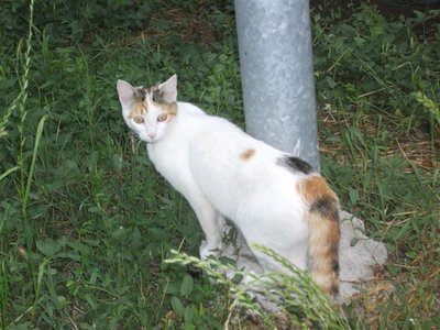 DSCF2300.JPG