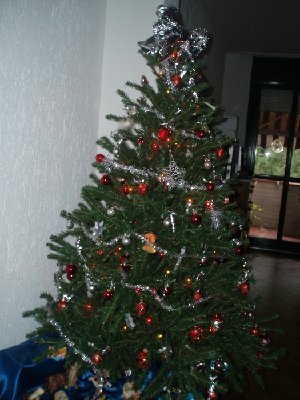 albero.JPG