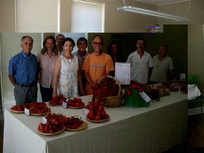 In primo piano Francesca Pipitone, Fabio De Pasquale e Giacomo Trapani - sullo sfondo alcuni partecipanti alla mostra.jpg