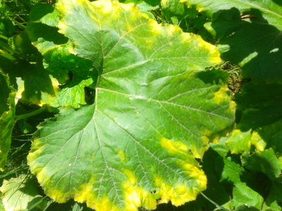 20120716_144746.jpg
