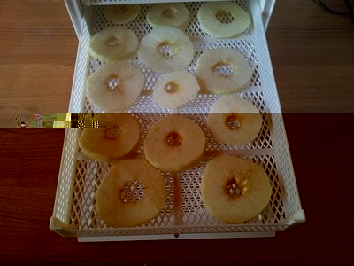 20120821_094038.jpg